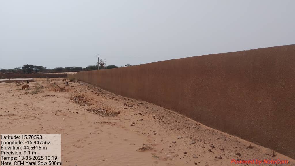YARAL SOW — photo 1