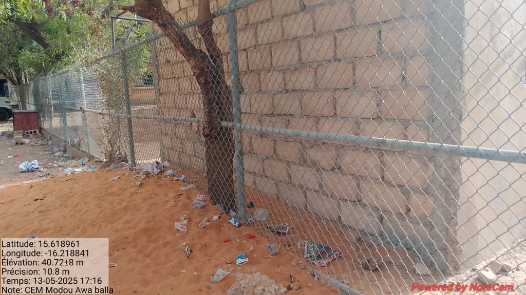 CEM MODOU AWA BALLA — photo 1