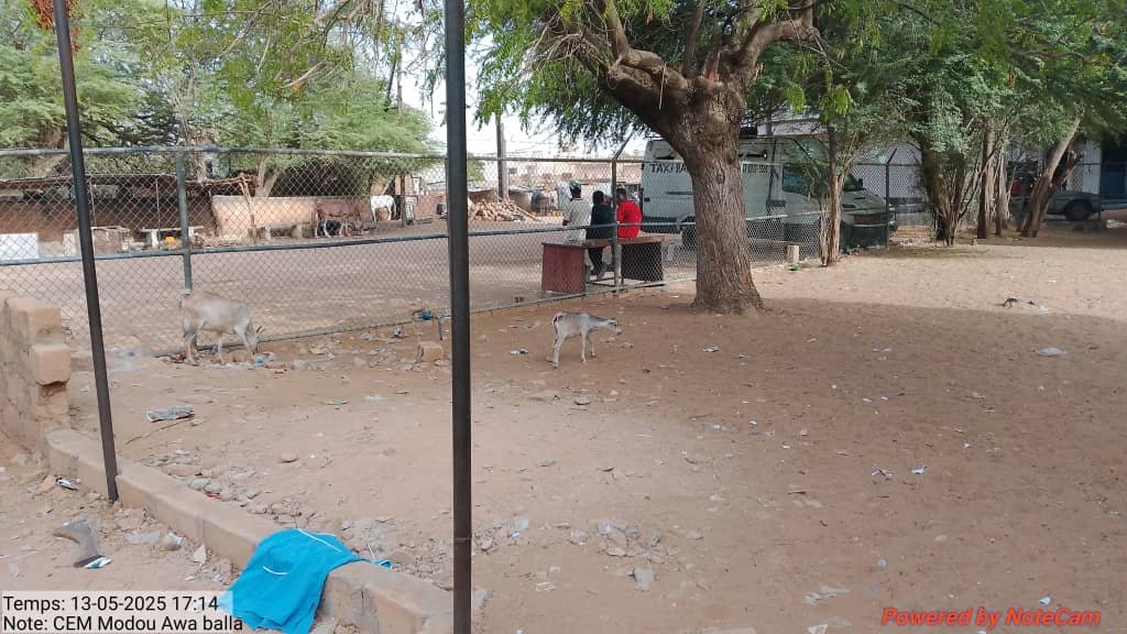 CEM MODOU AWA BALLA — photo 4