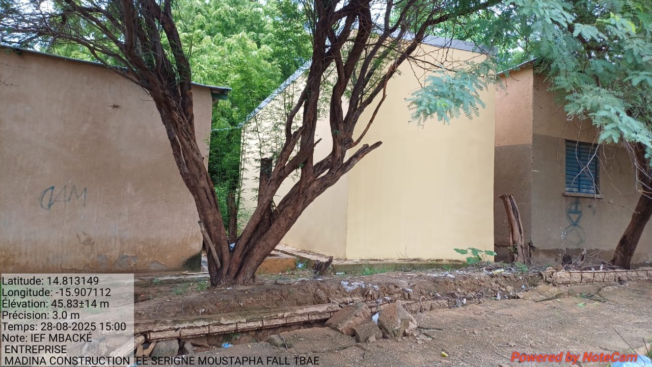 SERIGNE MOUSTAPHA FALL — photo 6